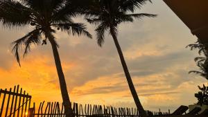 Vacation Beach