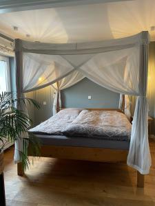 Cozy luxury apartment