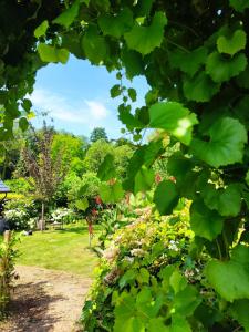 Bed and Breakfast Bergs Huuske