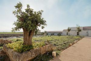Masseria Vaccaro - Boutique Hotel