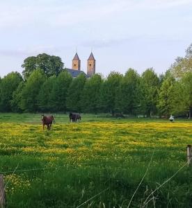 Bed and Breakfast Bergs Huuske