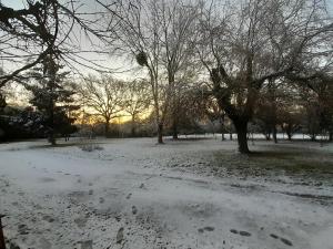 Studio nature independent