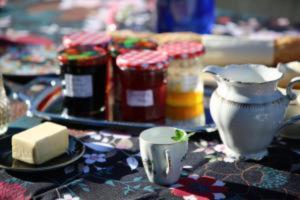 Chambre nature table dhôte avec jardin à la campagne le nid qui danse vers Vesoul de 1 à 3 personnes