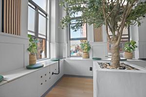 CityNest