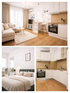 Luxury Apartaments Center