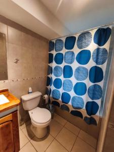 Pucon Parque Suizo Apartamento, primer piso