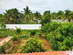 VinES Farmstay - Private Nature Retreat Pondicherry
