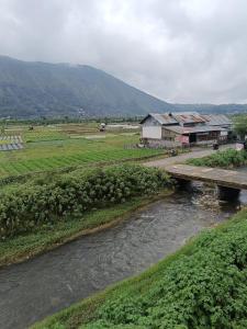 Queen Rinjani Stay & Café