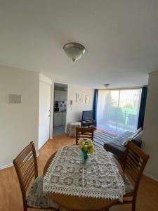 condominio viña oriente 2