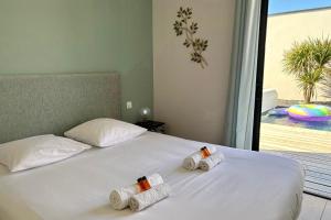 Villa Rosemonde Pool Pétanque Walk to Beach Sleeps 8 in Brétignolles