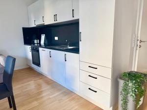 Modern Apartment with Garden near SCS