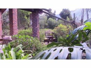 Forest Nest Cottage, Tsitsikamma