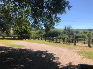 Agriturismo Ca' Belluccio img36