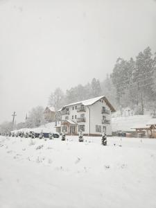 Vila de Sub Pădure