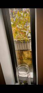 Peaceful, relaxing and warm 2-bedroom, sleeps 4, self-catering Galtee Mountain Lodge - for Mitchelstown, Cahir, Cashel and Cork, 1hr drive from 4 cities