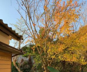 HOSHIYAMA B extra for pets - Vacation STAY 13934v