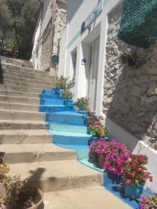 Sisinedda' s Home img48