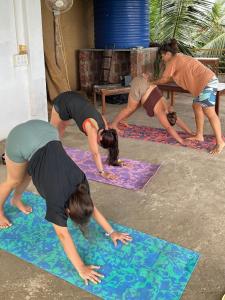 12 Monks - Backpacker Resort