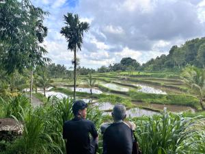 Rice Terrace Bungalows