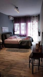 Cute central apartments