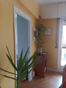 apartamento céntrico zona Marques de comillas 8