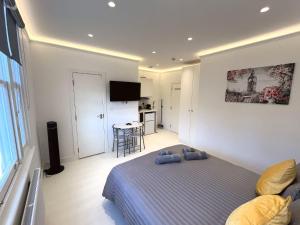 Sleek and Bright Studio Close to Central London