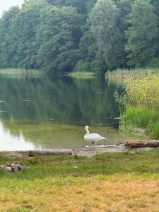 Ferienhäuser Wiselka