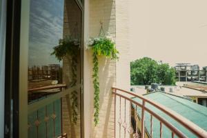 Modern Cozy Home Walk to Town Center Attractions