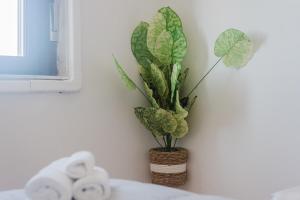 ABHouse Sardinia img43