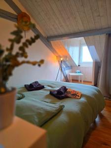 LOracle de Caro - Atypique- Nouveau