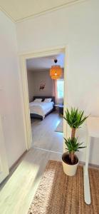 Beautiful apartment in the middle of the city with own parking - Applegarden - 5-6 persons