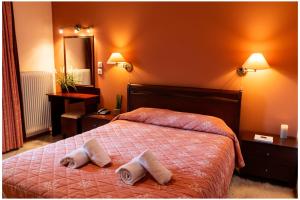 Milionis Forest Hotel