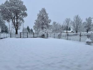 Cuori, Cervi e Caprioli