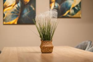 Filoxenia Urban Home