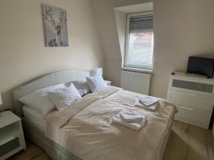 Zoli Apartmanok-Zoli Kölcsey 34-36