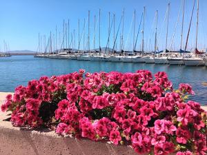 BluePeppermint Apartment img20