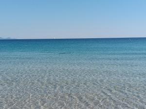 BluePeppermint Apartment img27