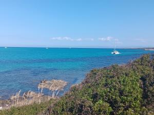 BluePeppermint Apartment img25