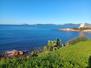 BluePeppermint Apartment img28