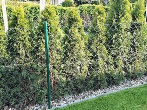 Holiday Home Paula am Klostersee Urlaub mit Hund by Interhome