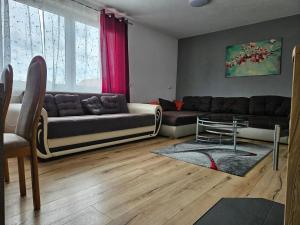 Apartment Saki by Interhome