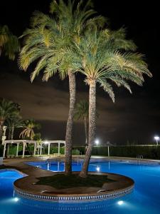 Exceptional frontline view