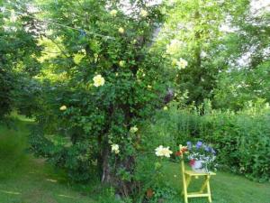 Apartment Canadahof by Interhome