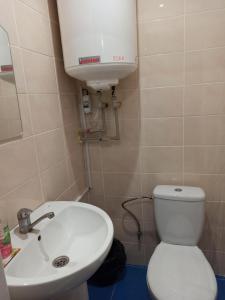 Відпочинок у будиночку серед хвойного лісу