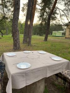 Відпочинок у будиночку серед хвойного лісу