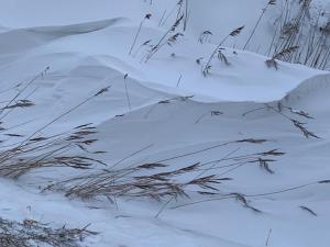 Gulfhof Polder72 Polder72 10 Hicko