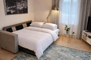 Jakobsoni 7 Apartment