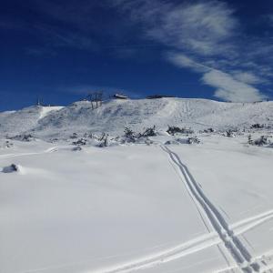 Cortalta Mountain Lodge - Appartamento Ciliegio piano terra con giardino