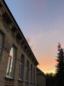 Відпочинок у будиночку серед хвойного лісу