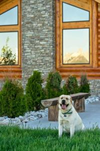 Luxe Teton View Log Cabin Hot Tub Large Groups